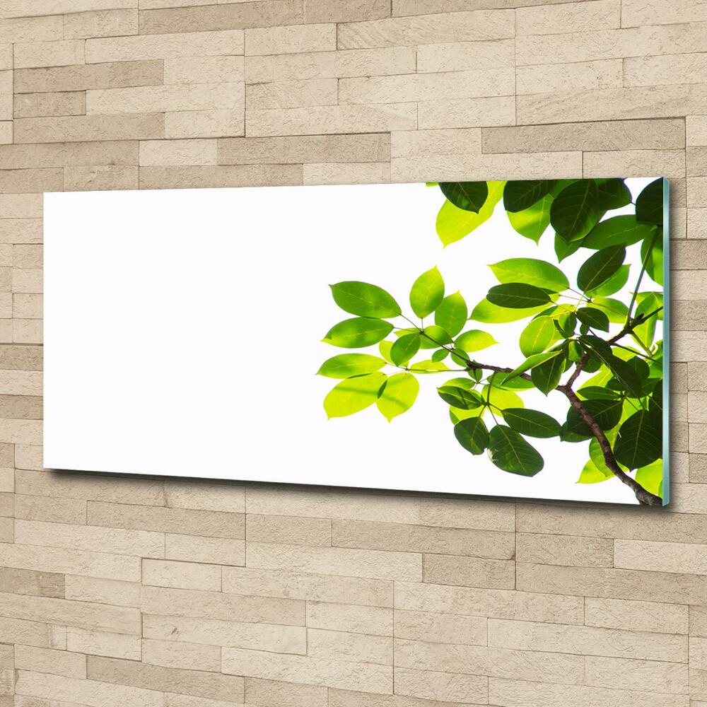 Glass wall art Leaves