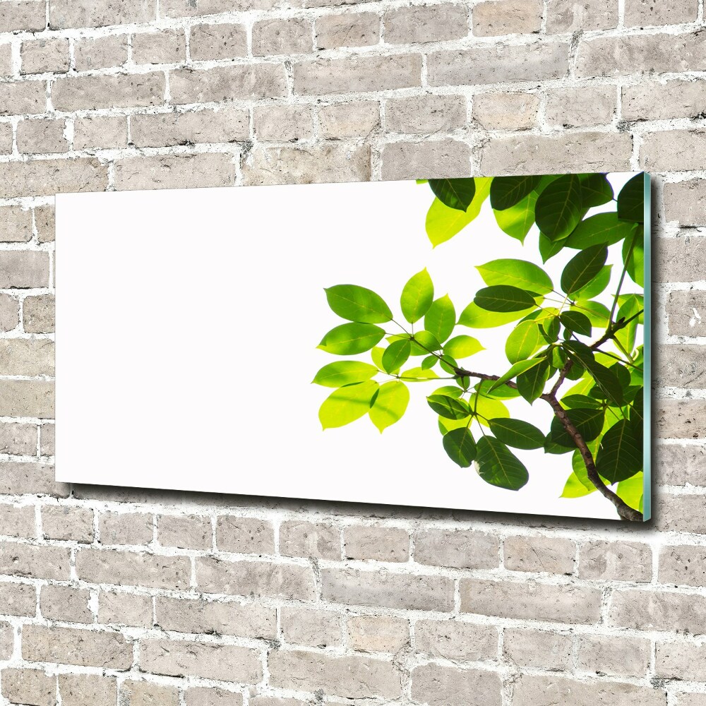 Glass wall art Leaves