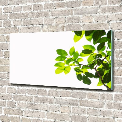 Glass wall art Leaves