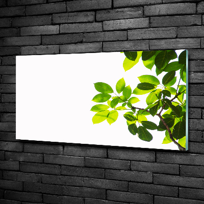 Glass wall art Leaves