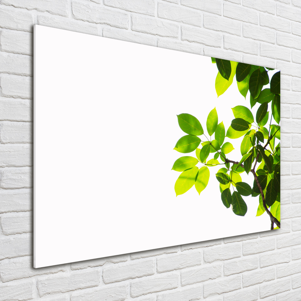 Glass wall art Leaves