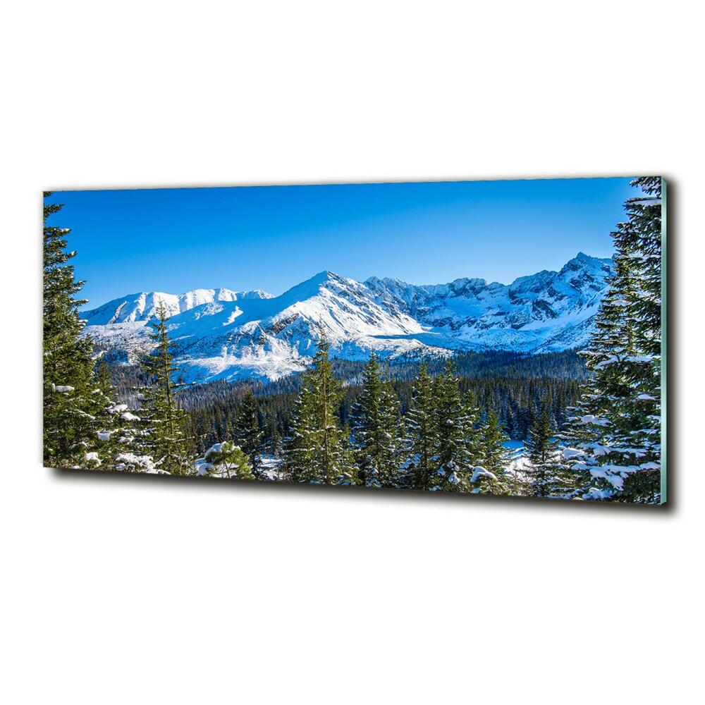 Photo printed on glass Panorama of the tatra mountains