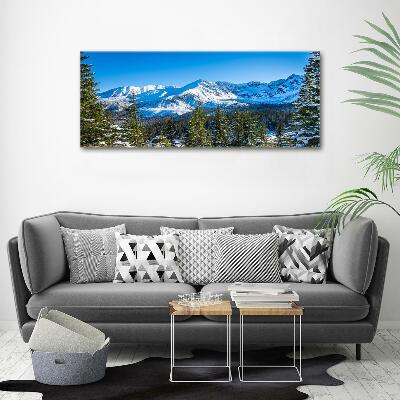 Photo printed on glass Panorama of the tatra mountains