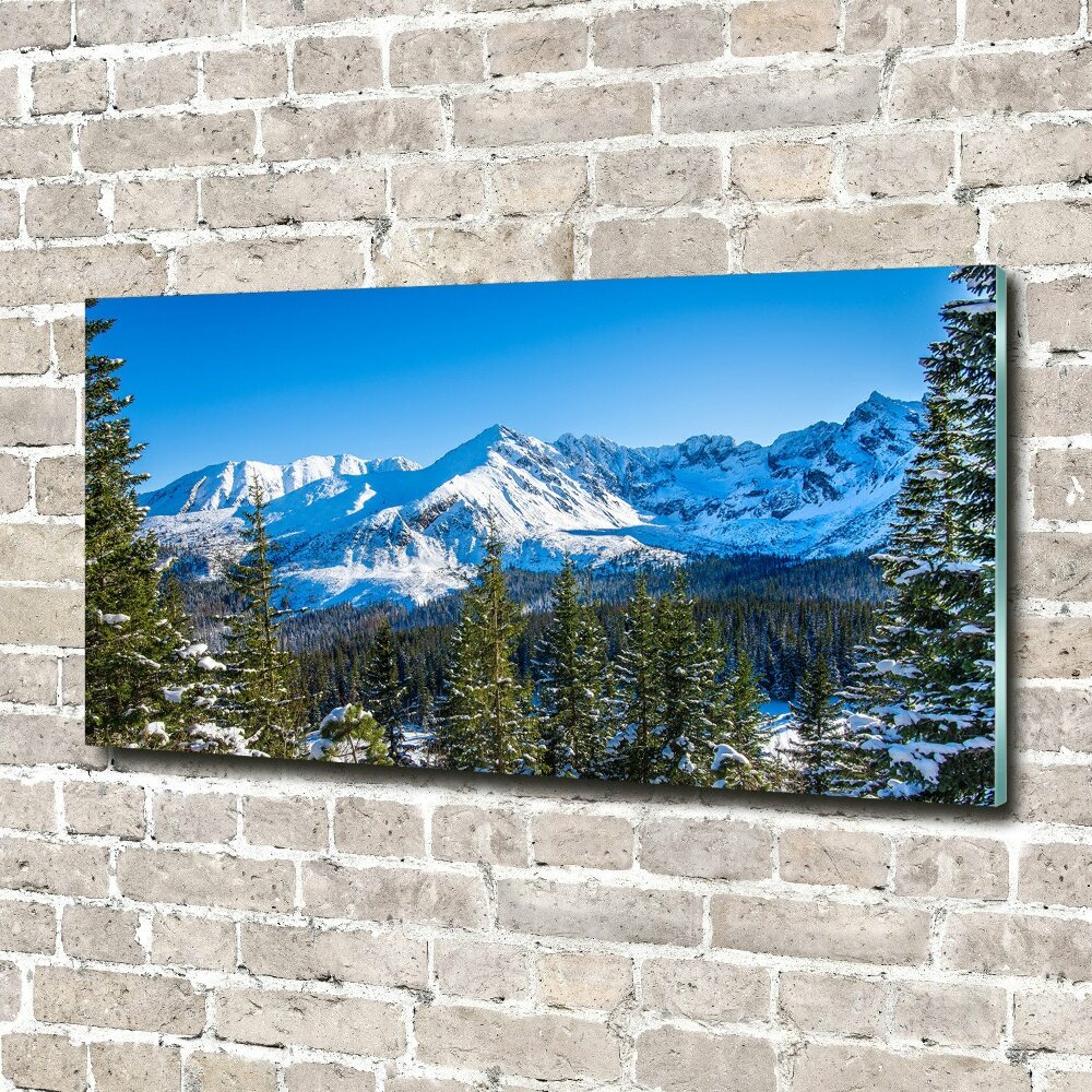 Photo printed on glass Panorama of the tatra mountains