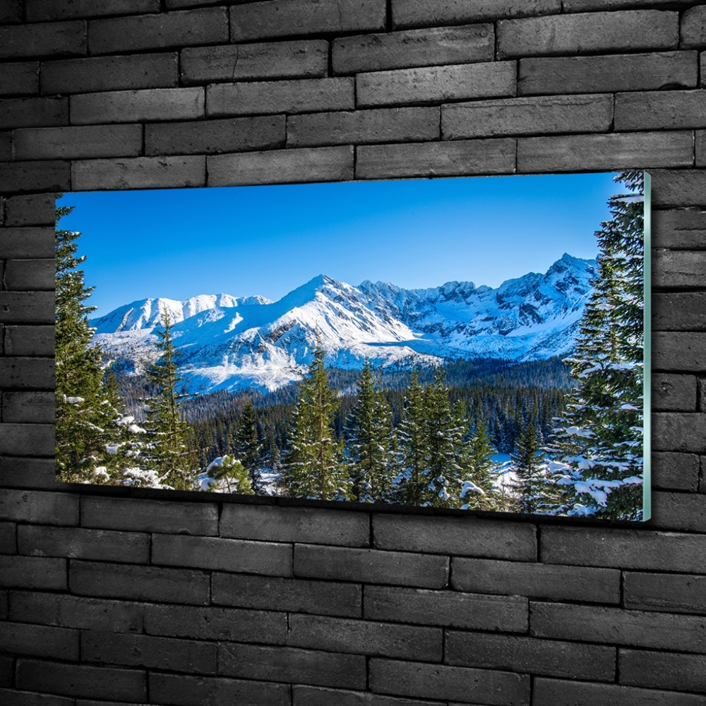 Photo printed on glass Panorama of the tatra mountains