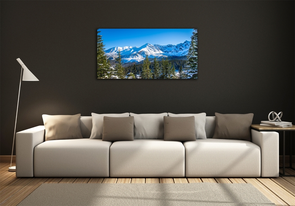 Photo printed on glass Panorama of the tatra mountains