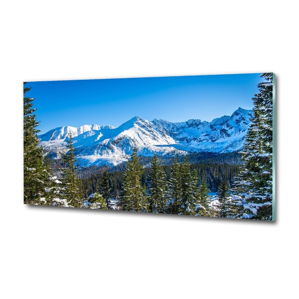 Photo printed on glass Panorama of the tatra mountains