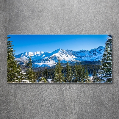 Photo printed on glass Panorama of the tatra mountains