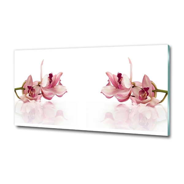 Wall art on glass Orchid