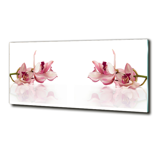 Wall art on glass Orchid