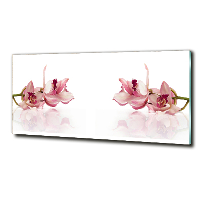 Wall art on glass Orchid