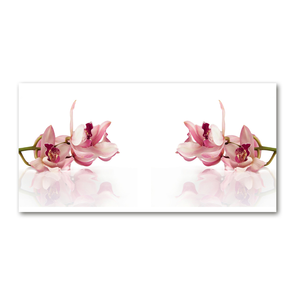 Wall art on glass Orchid