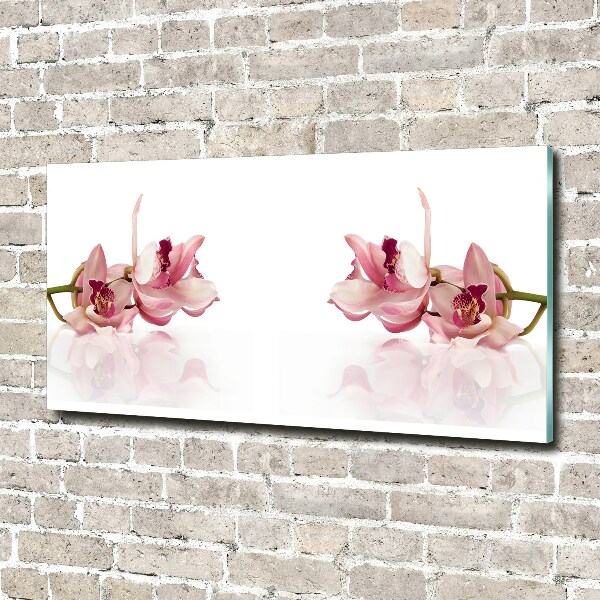 Wall art on glass Orchid