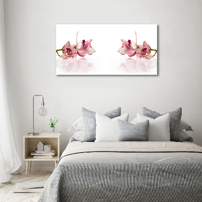 Wall art on glass Orchid