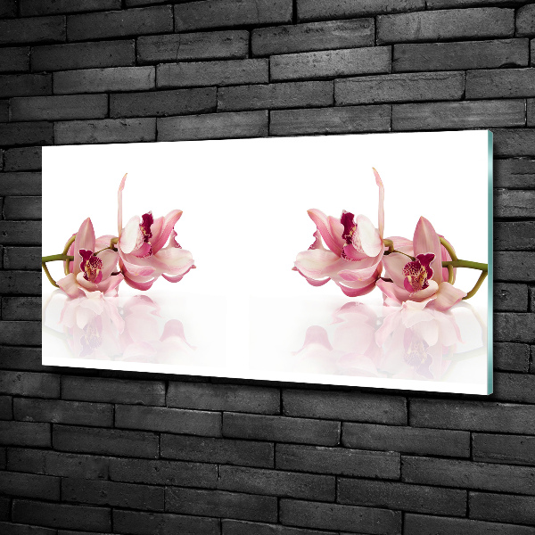 Wall art on glass Orchid