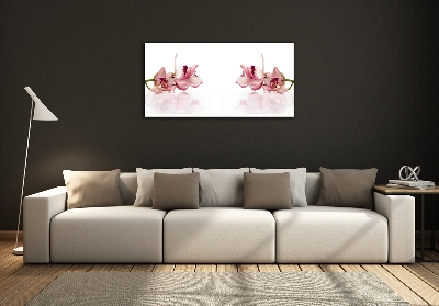 Wall art on glass Orchid