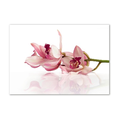 Wall art on glass Orchid