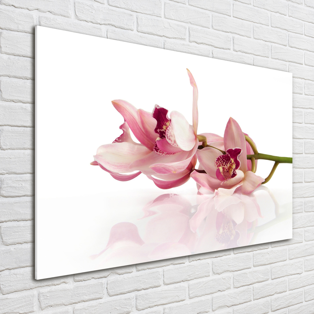 Wall art on glass Orchid