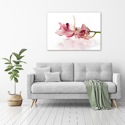 Wall art on glass Orchid