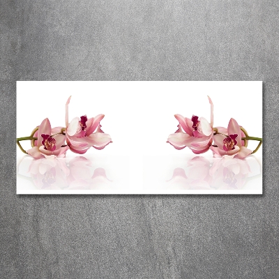 Wall art on glass Orchid