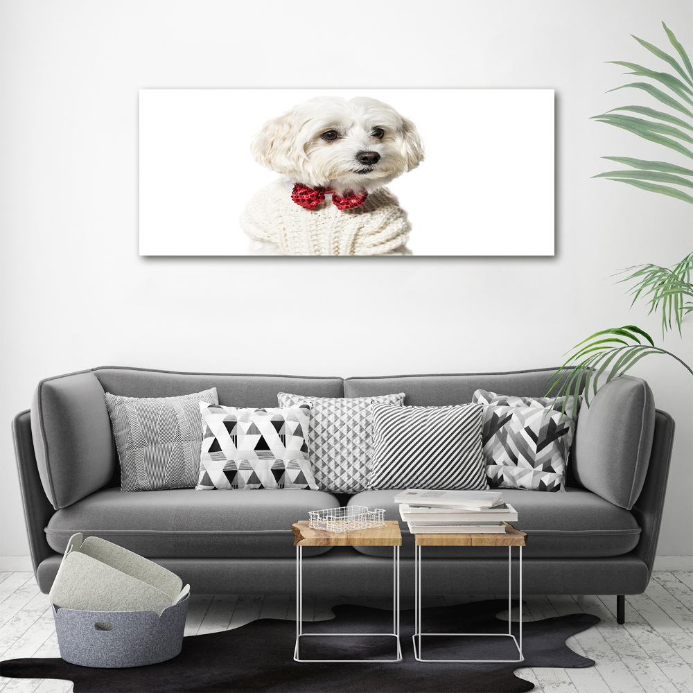 Glass wall art Maltese in a bow tie