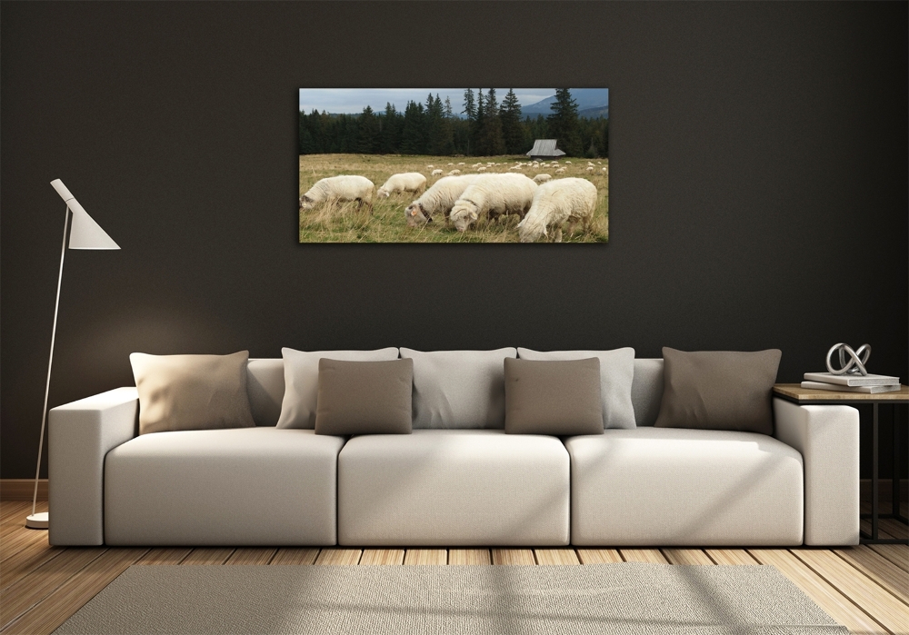 Glass wall art Grazing sheep