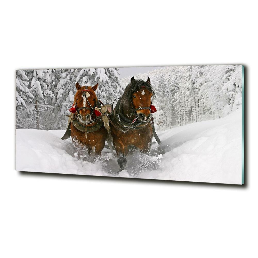 Glass art print Sleigh ride