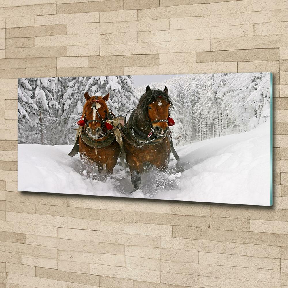 Glass art print Sleigh ride