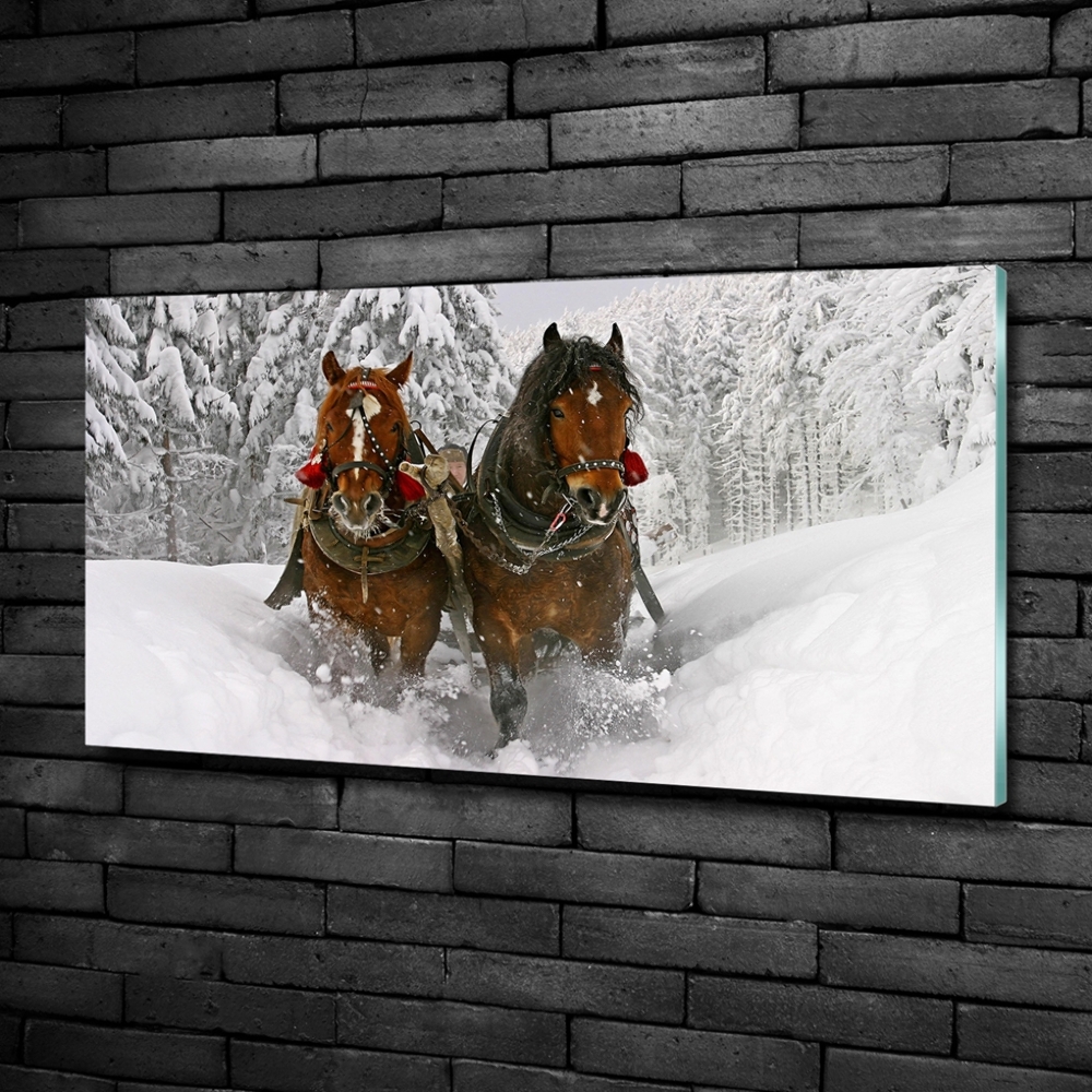 Glass art print Sleigh ride