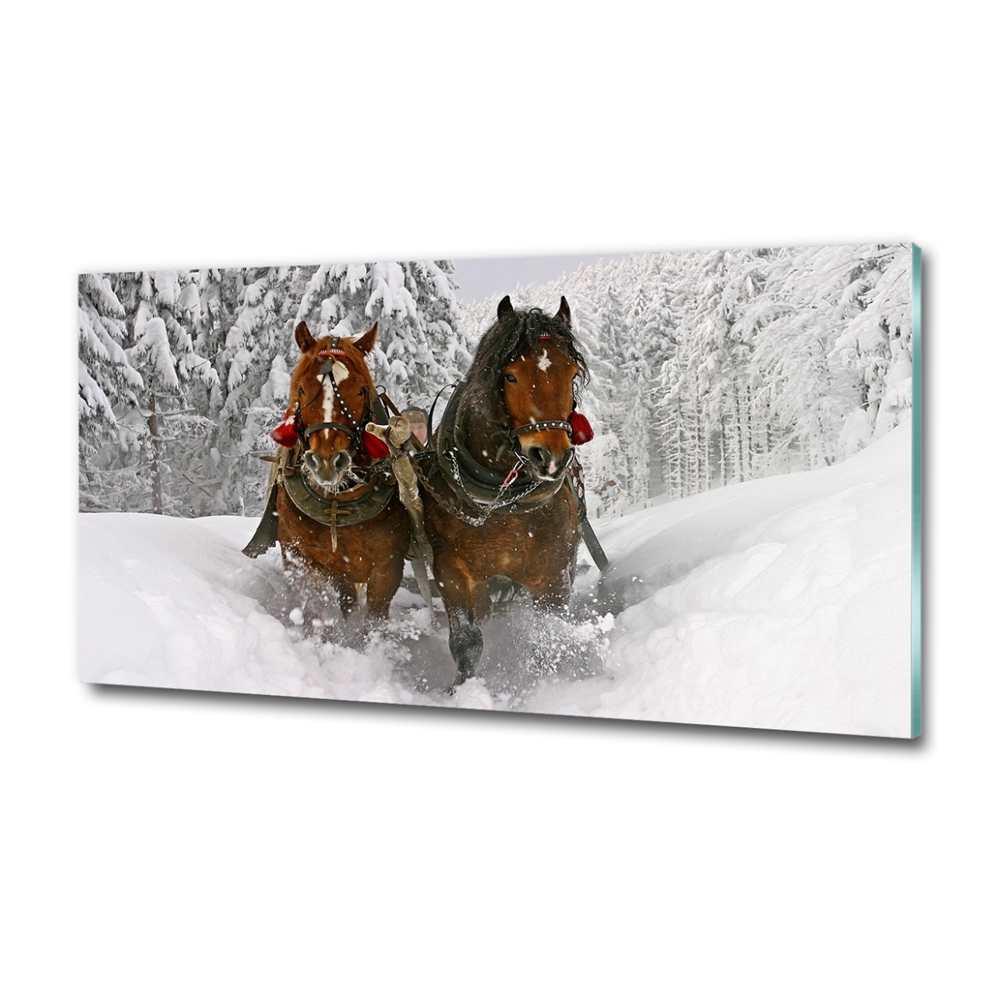 Glass art print Sleigh ride