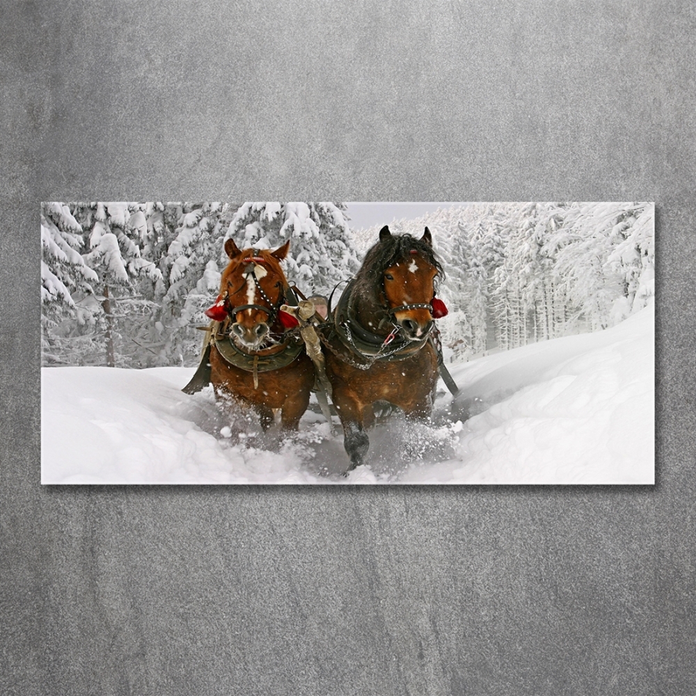 Glass art print Sleigh ride