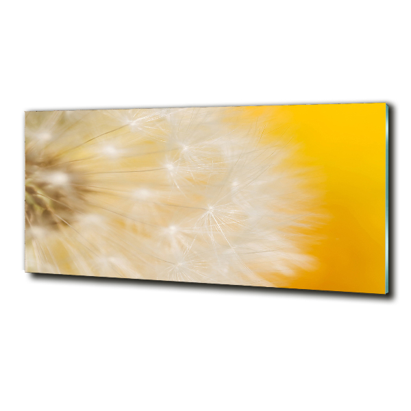 Glass wall art Dandelion