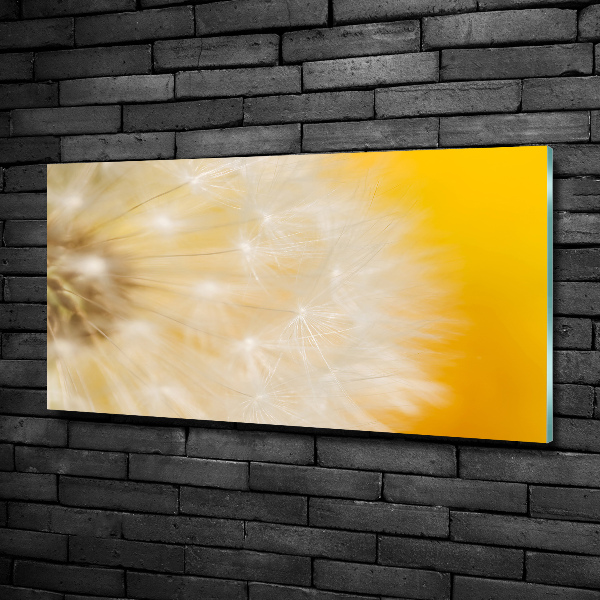 Glass wall art Dandelion