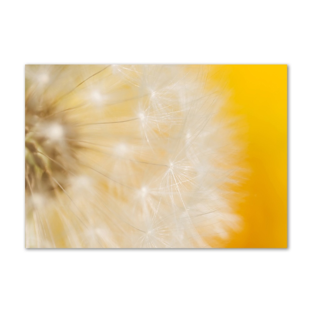 Glass wall art Dandelion