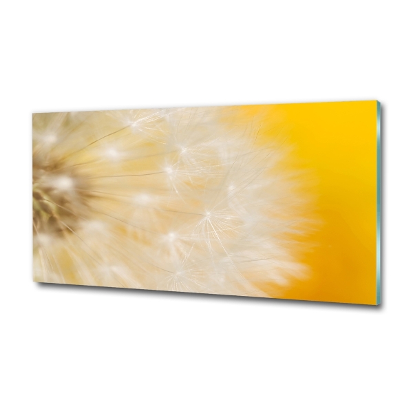 Glass wall art Dandelion