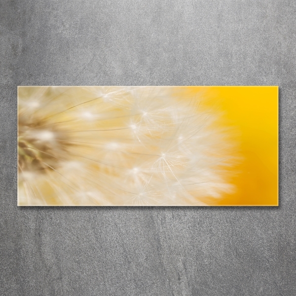 Glass wall art Dandelion