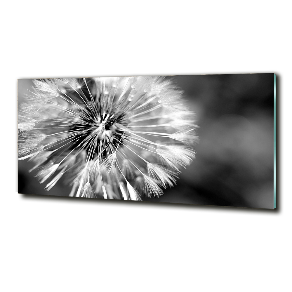 Glass wall art Dandelions