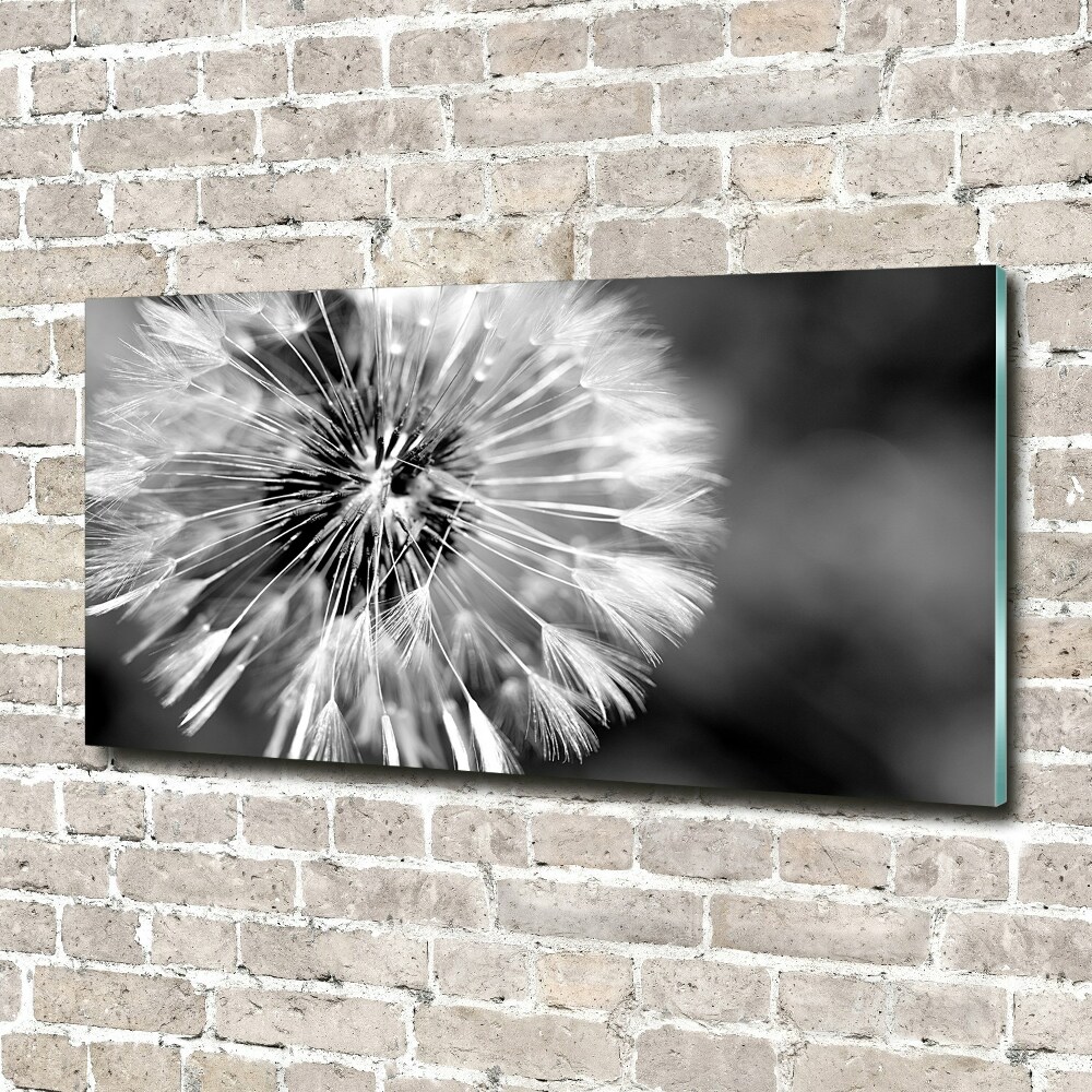 Glass wall art Dandelions