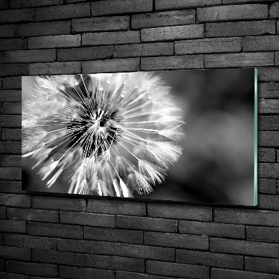 Glass wall art Dandelions