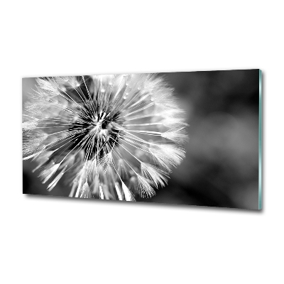 Glass wall art Dandelions