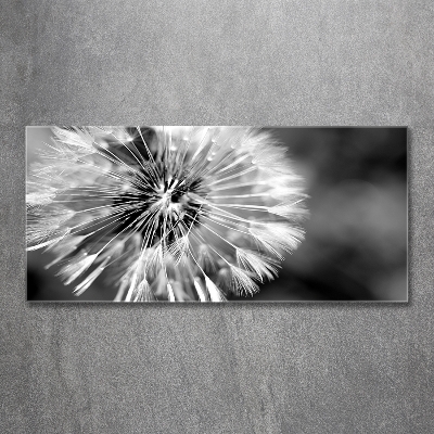 Glass wall art Dandelions