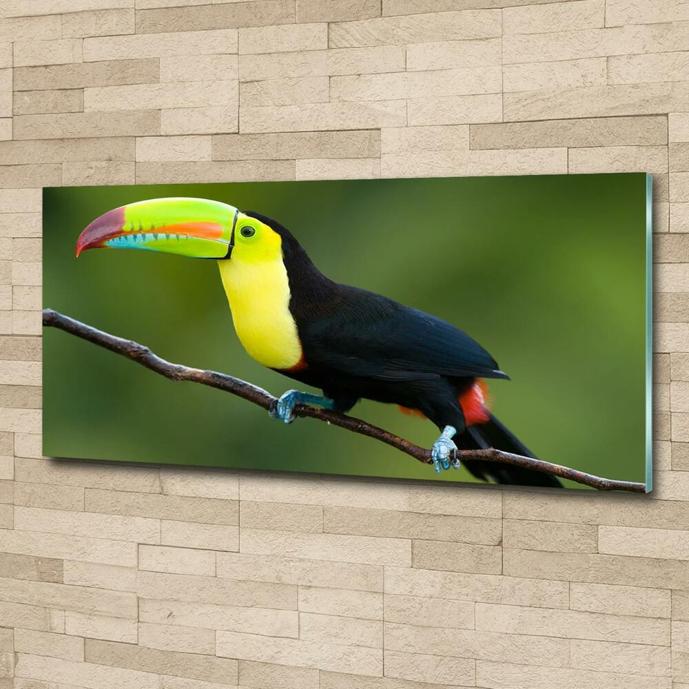 Glass art picture Toucan