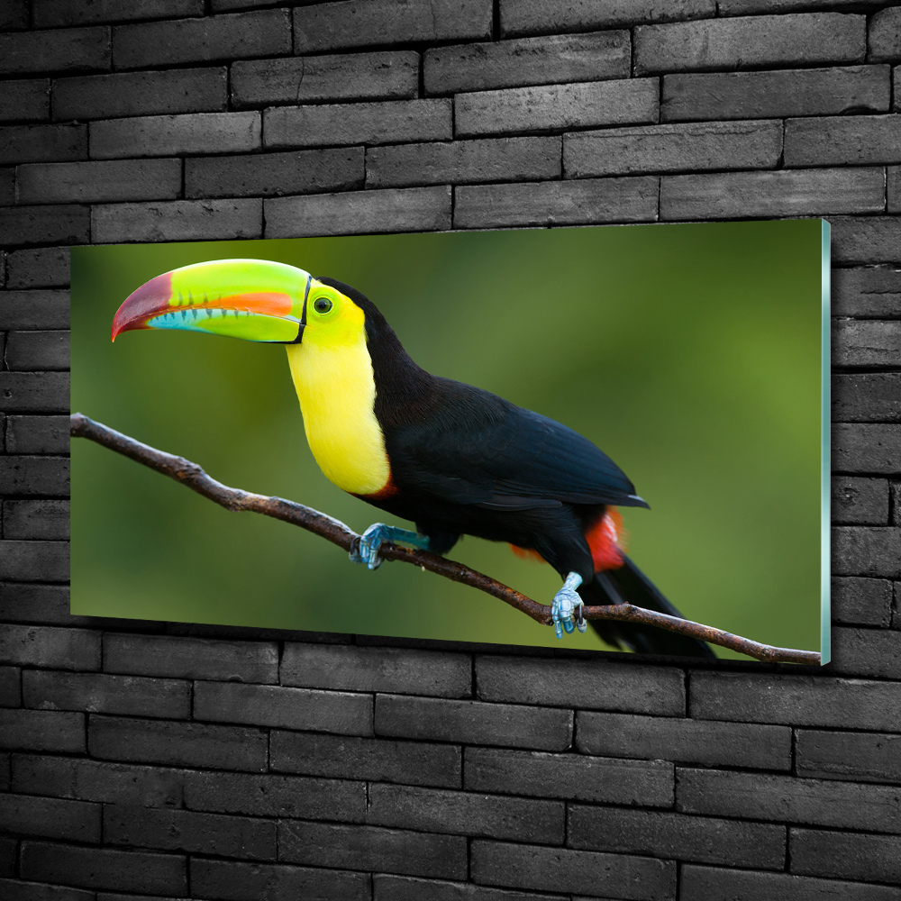 Glass art picture Toucan