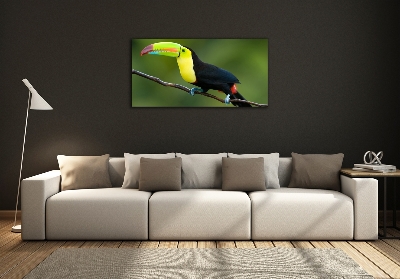 Glass art picture Toucan