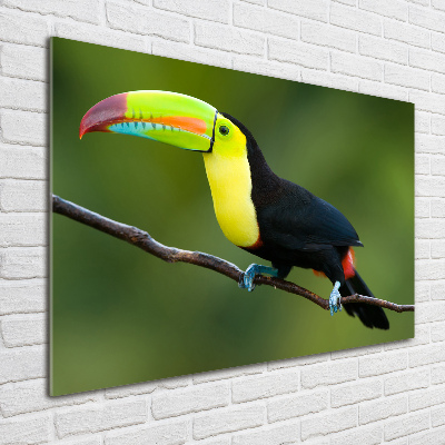 Glass art picture Toucan