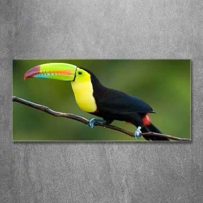 Glass art picture Toucan