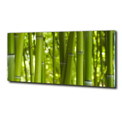 Glass wall art Bamboo