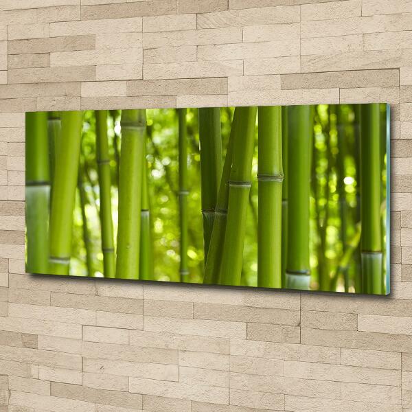 Glass wall art Bamboo