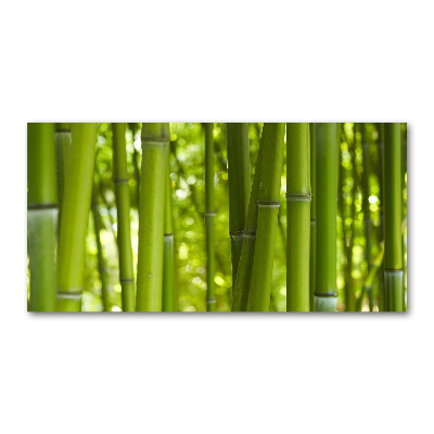 Glass wall art Bamboo