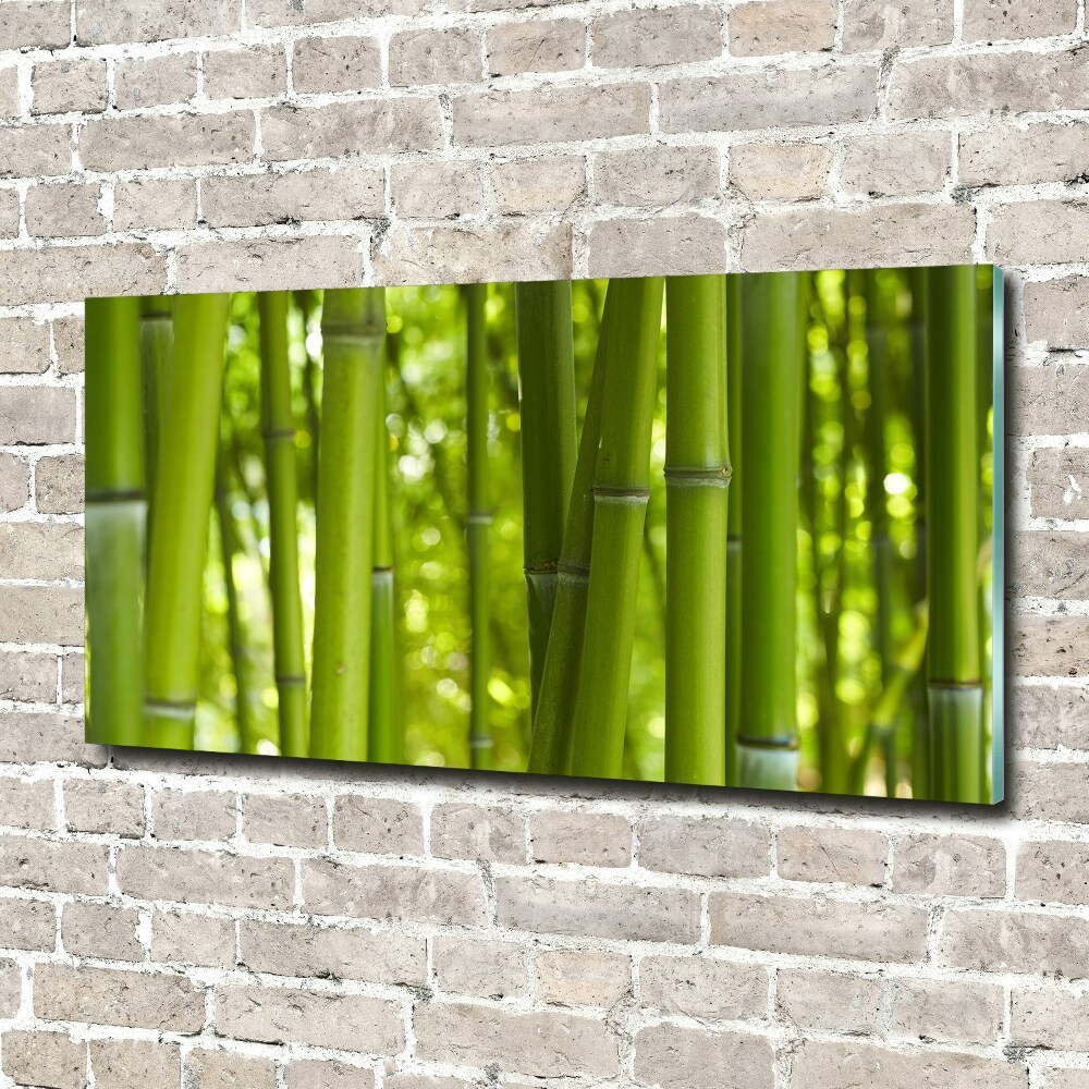 Glass wall art Bamboo